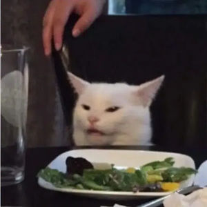 Meet your Posher, Ash